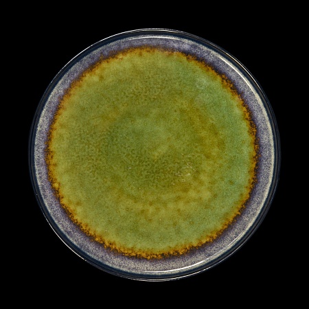 ТАРЕЛКА мелкая 10,5&quot; 265мм, синий+зеленый &quot;Corone Verde&quot;