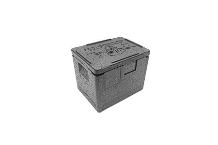 Термоконтейнер (термобокс) 400х300х320мм, 22л NORM