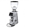 Кофемолка Fiorenzato F 64 E серый