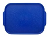 Поднос столовый 450х355 мм с ручками синий